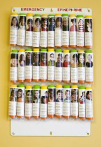 Epinephrine Storage Panel