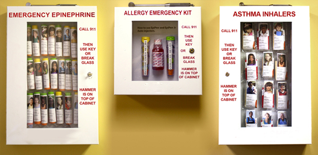 Original Allergy Emergency Kit Product Line